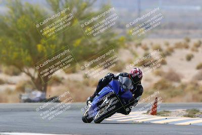 media/Apr-10-2022-SoCal Trackdays (Sun) [[f104b12566]]/Turn 5 Tree of Life (1040am)/